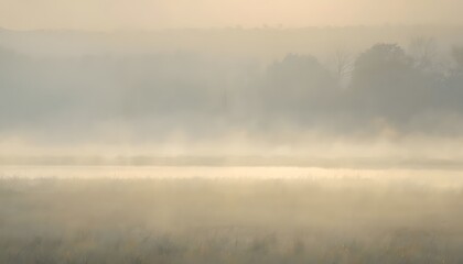 Obraz premium fog in the forest