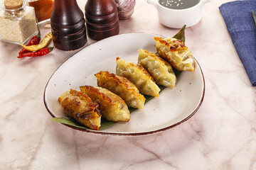 Fried Japanese stuffed dumplings - Gyoza