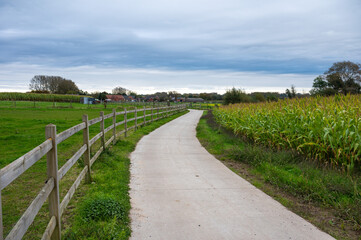 Fototapeta premium Curved cycling path through the fields of the Flemish countryside in Erpe-Mere, East Flanders, Belgium