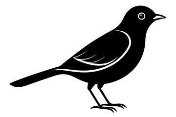 bird on a branch