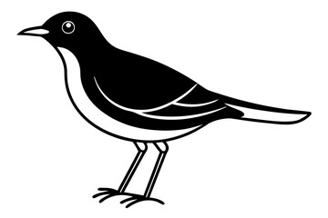 illustration of a bird