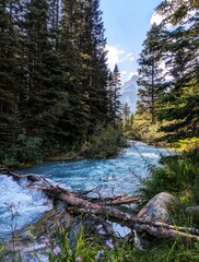 River Flowing Through Canadian Forest