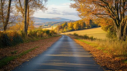 peaceful countryside road lined with autumn leaves, the road leading toward distant hills