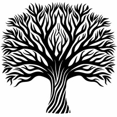 Fototapeta premium zebrawood--tree-silhouette