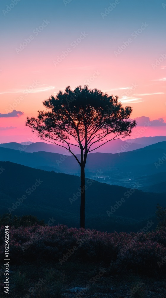 Aufkleber a tree stands alone in a field with a beautiful sunset in the background