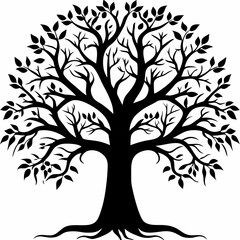 Obraz premium Monterrey-oak-tree-silhouette