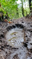 Close-Up of Muddy Footprint on Nature Trail
