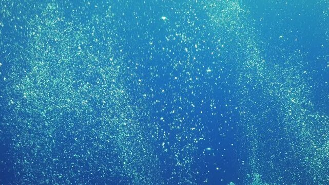 Air Bubbles in the Blue Water