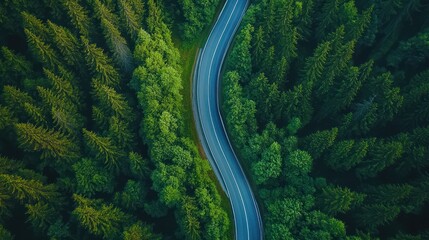 Aerial View of a Winding Road Through a Lush Green Forest
