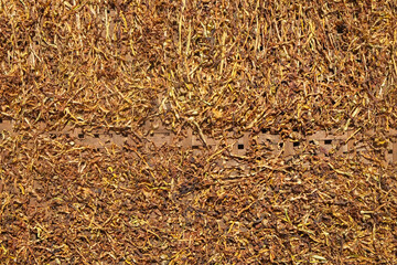 Abstract shapes, patterns and textures of shredded tobacco leaves dried in the sun. Tobacco leaves as raw material for making cigarettes.For graphic design or banner background