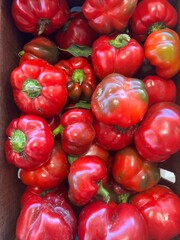 Fresh market pepper