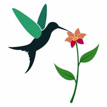 hummingbird feeding flower, green wings clip art preview