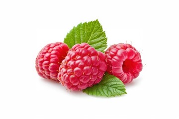 Three raspberries with leaves