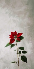 Clean holiday decor with a single red poinsettia and simple background.