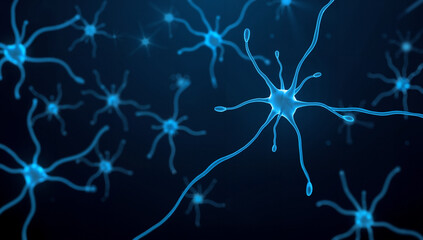 Neurons