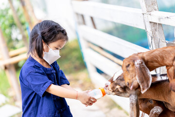 Cute little girl in blue farmer outfit and white face mask is feeding goat milk with a bottle. Child close to nature. Learning farm life, learning outside the classroom.