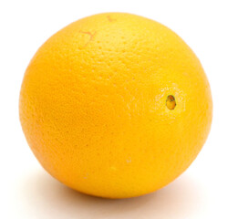 Juicy Orange Refreshment - stock photo
