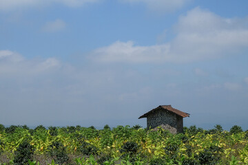 A small hut made of stone walls in the field. Hut with blue sky background