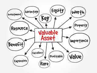 Valuable Asset - something that has significant worth or importance, either in a financial context or in terms of utility, effectiveness, or contribution, mind map text concept background