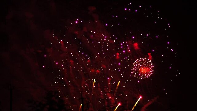 Golden red lilac sparks scattering fireworks on the black night sky. General plan