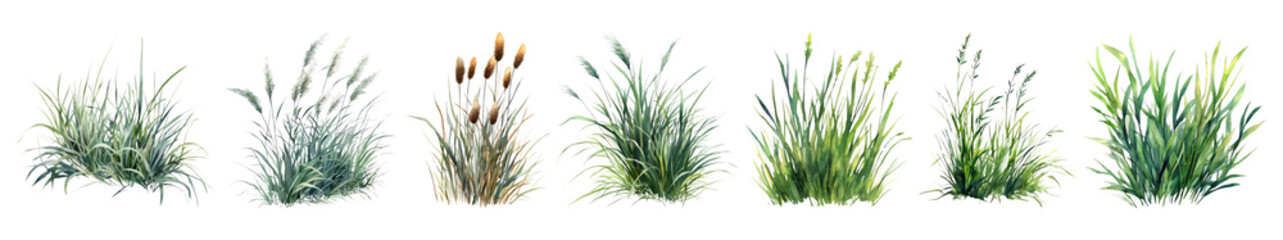 Obraz premium Spring garden png cut out element set