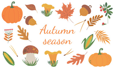 Set of vector beautiful symbols for autumn fall pumpkins, autumn falling leaves, chanterelle, porcini mushrooms, acorn, corn cob and cranberry. Hand drawn flat designs, icons. Hello autumn frame