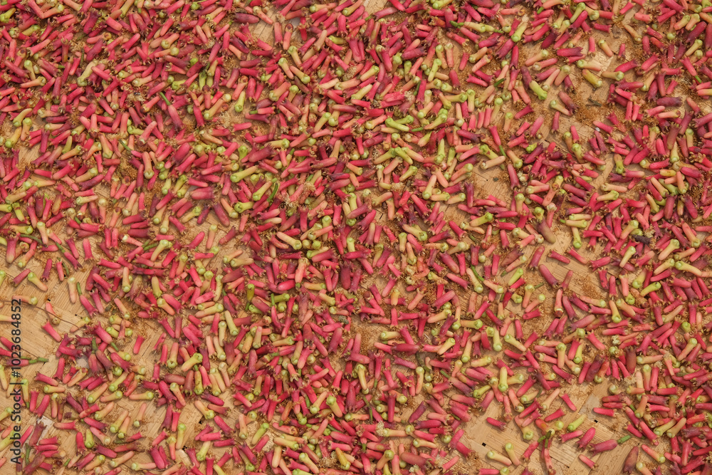Poster abstract shapes, patterns and textures of the surface of sun-dried cloves.harvesting cloves in the c