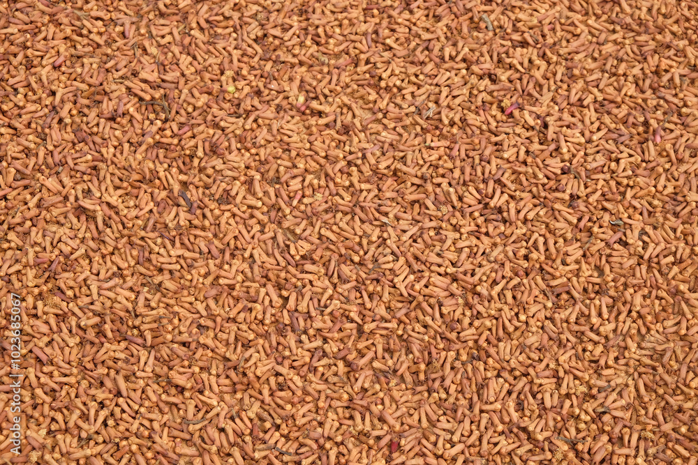 Poster abstract shapes, patterns and textures of the surface of sun-dried cloves.harvesting cloves in the c
