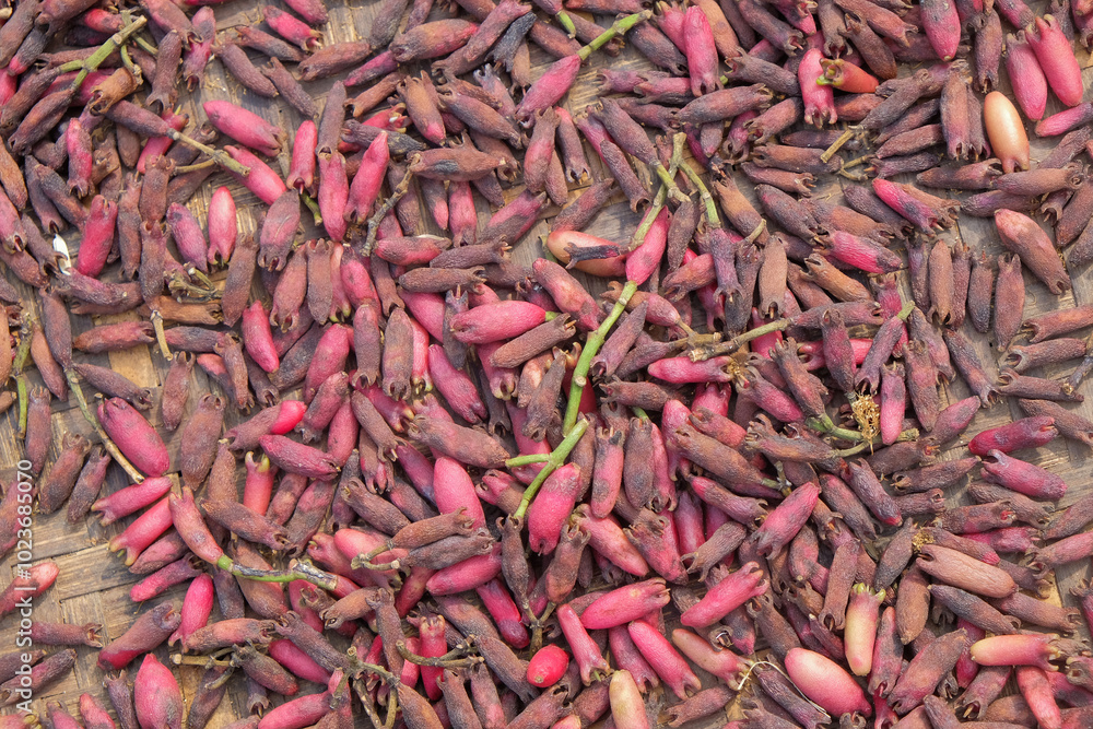Poster abstract shapes, patterns and textures of the surface of sun-dried cloves.harvesting cloves in the c