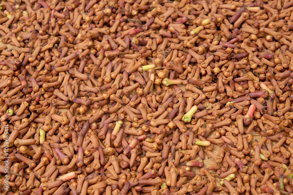 Poster abstract shapes, patterns and textures of the surface of sun-dried cloves.harvesting cloves in the c