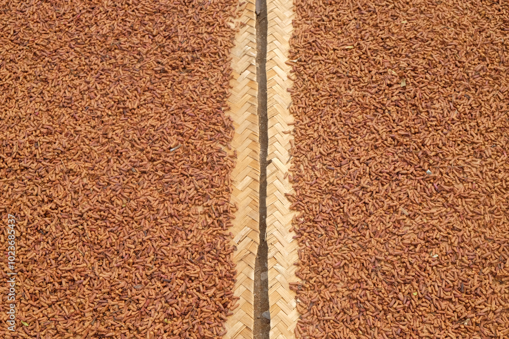 Poster abstract shapes, patterns and textures of the surface of sun-dried cloves.harvesting cloves in the c