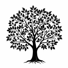 Obraz premium chinquapin-tree-silhouette