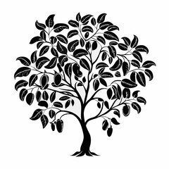 Obraz premium cashew-tree-silhouette