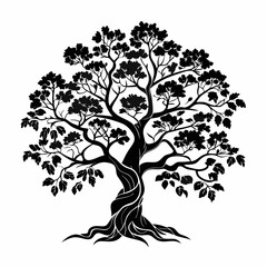 Obraz premium Chinese-mahogany-tree-silhouette