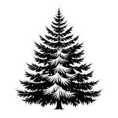  blue-spruce-tree-silhouette