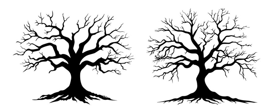 dark and spooky halloween  trees in black vector set