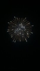 fireworks in the night sky