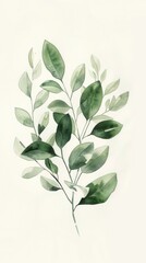 Simple plant decoration with delicate watercolor touches