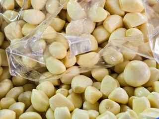 Pattern of peeled Garlic background and tecture.