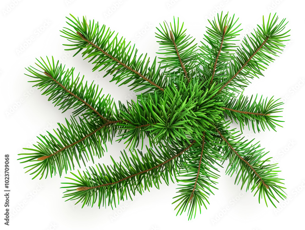 Aufkleber green pine tree branch with a few brown tips. the branch is long and thin, and it is the only visibl