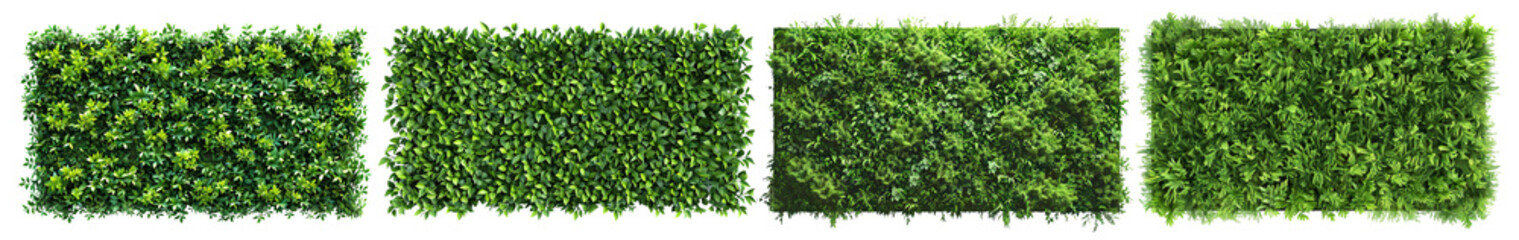 Obraz premium Set of green plant wall panels, cut out