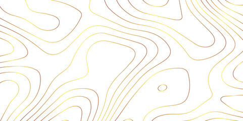 Fototapeta premium Abstract wave paper curved reliefs background .gradient multicolor wave curve lines banner background design .topographic contours map background .Vector geographic contour map. 