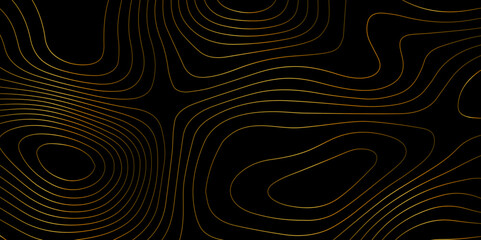 Abstract wave paper curved reliefs background .gradient multicolor wave curve lines banner background design .topographic contours map background .Vector geographic contour map.	