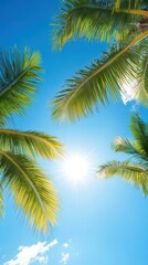 Fototapeta premium Palm leaves against a bright blue sky with sunlight shining through, creating a tropical ambiance.