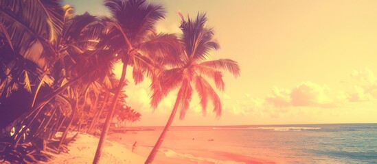 Artistic summer collage with palm trees.