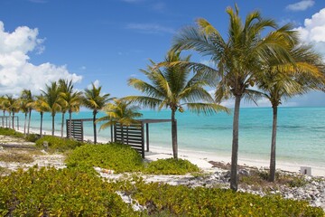 Splashing in warm, colorful blue waters of Long Bay Beach in Turks and Caicos Islands.