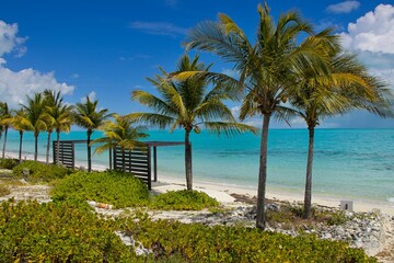 Splashing Warm Colorful Blue Waters