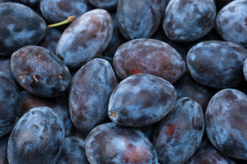 Fresh plums background. Top view. Organic food.