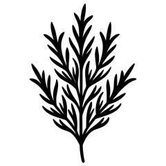 silhouette of a plant