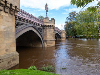 Fototapeta premium bridge over the river